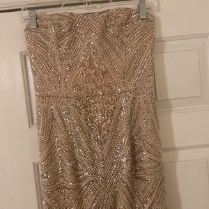 Dress the Population Gretta Blush Sequin Maxi